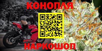 jwh Кудрово