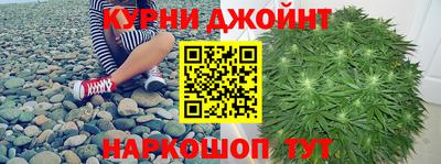 PSILOCYBIN Ирбит