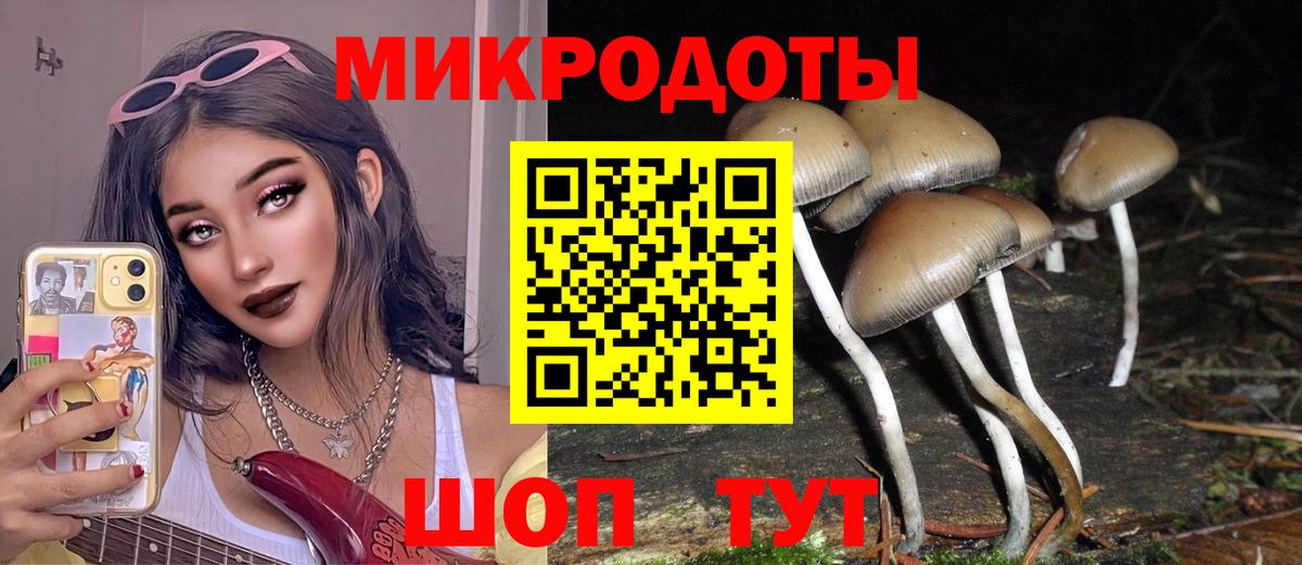 Кувандык  Галлюциногенные грибы Magic Shrooms  Вход с VPN 